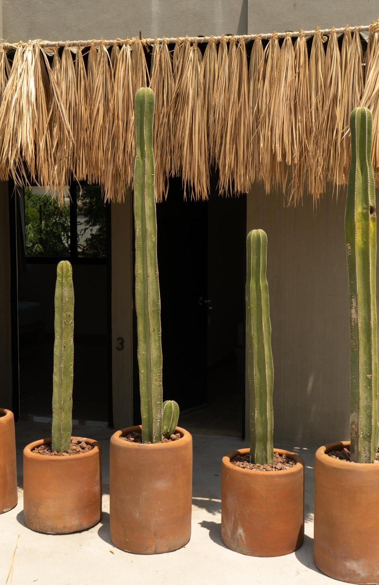 Ferienwohnung Yauik Tequesquitengo Exterior foto